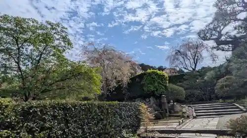 圓光寺(京都府)