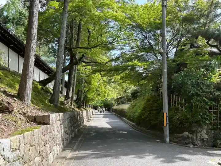 東福禅寺(東福寺)の{uncategorized: "未分類", other: "その他", undefined: "問題あり", building: "その他建物", grave: "お墓", sacred_gate: "鳥居", guardian: "狛犬", statue: "像", buddha: "仏像", history: "歴史", nature: "自然", garden: "庭園", animal: "動物", pagoda: "塔", temizu: "手水舎", mountain_gate: "山門・神門", sanctuary: "本殿・本堂", subordinate: "末社・摂社", art: "芸術", scenery: "景色", jizo: "地蔵", ema: "絵馬", goshuin: "御朱印", omikuji: "おみくじ", items: "授与品その他", amulet: "お守り", goshuincho: "御朱印帳", eats: "食事", festival: "お祭り", votive_dance: "神楽", shichigosan: "七五三参", wedding: "結婚式", experience: "体験その他", initially: "初詣", around: "周辺", anti_infection: "感染症対策"}