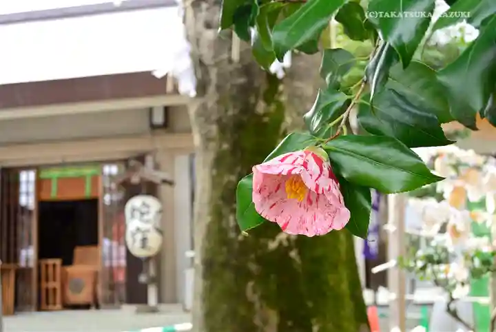 蛇窪神社の自然