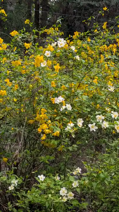 椎尾神社の自然