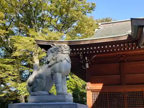 松任金剣宮の狛犬