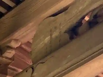 山神社のその他建物