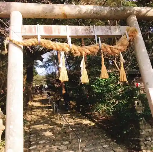 龍尾神社の鳥居