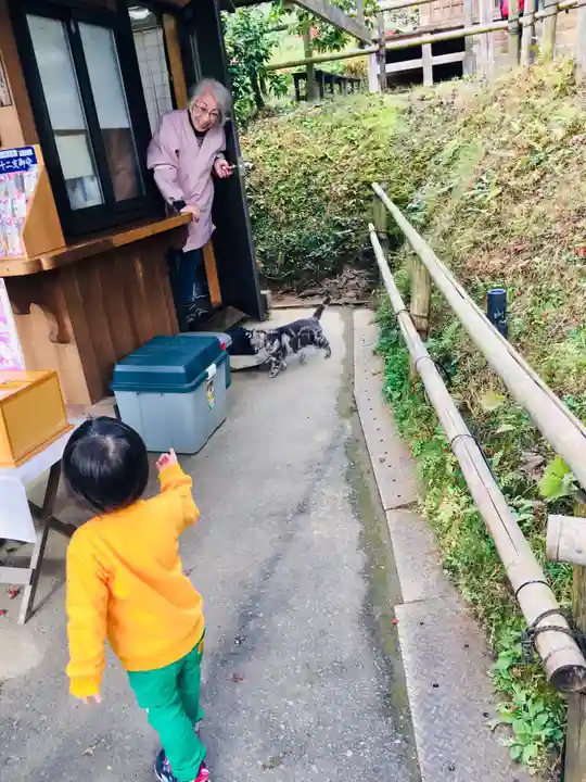 中尊寺本堂の動物