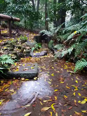 明治神宮(東京都)
