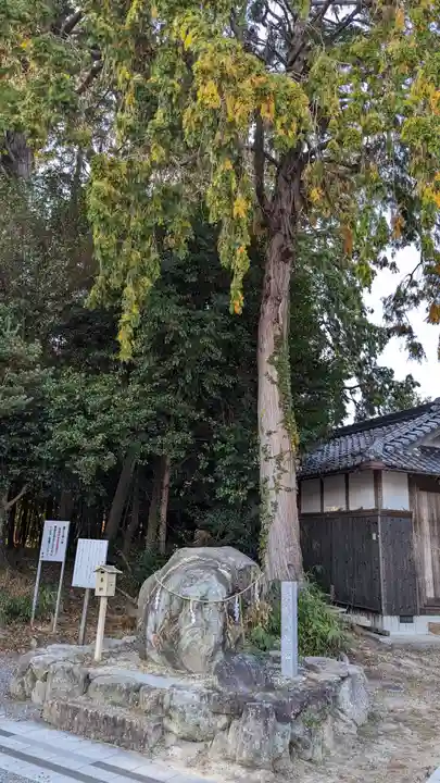 稗田野神社(薭田野神社)(京都府)