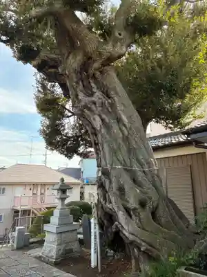 稲荷神社(千葉県)