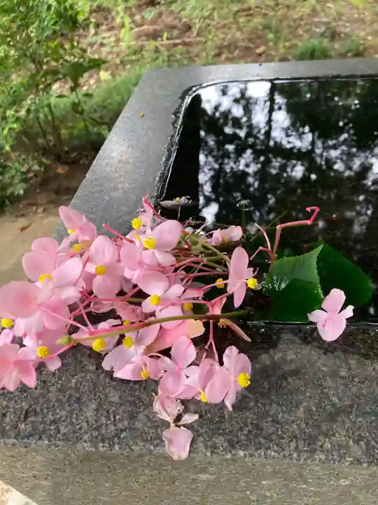 藏皇神社(福島県)