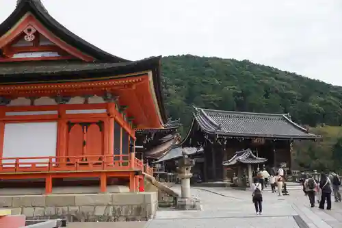 清水寺の本殿・本堂