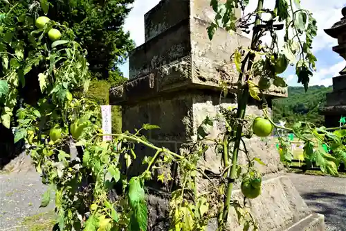 高司神社〜むすびの神の鎮まる社〜の庭園