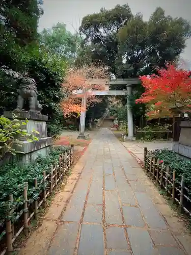 赤坂氷川神社(東京都)