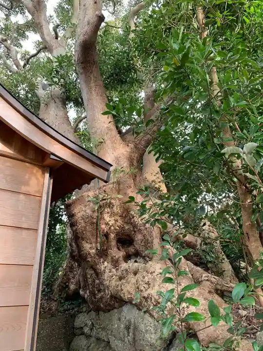 鎮守宮(千葉県)