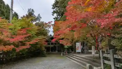 鍬山神社(京都府)