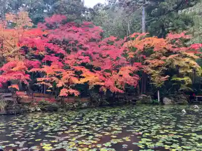 天授庵(京都府)