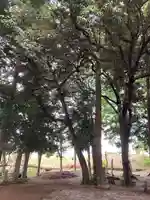 雀神社(茨城県)