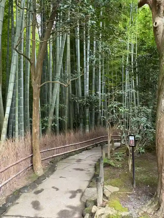 報国寺の{uncategorized: "未分類", other: "その他", undefined: "問題あり", building: "その他建物", grave: "お墓", sacred_gate: "鳥居", guardian: "狛犬", statue: "像", buddha: "仏像", history: "歴史", nature: "自然", garden: "庭園", animal: "動物", pagoda: "塔", temizu: "手水舎", mountain_gate: "山門・神門", sanctuary: "本殿・本堂", subordinate: "末社・摂社", art: "芸術", scenery: "景色", jizo: "地蔵", ema: "絵馬", goshuin: "御朱印", omikuji: "おみくじ", items: "授与品その他", amulet: "お守り", goshuincho: "御朱印帳", eats: "食事", festival: "お祭り", votive_dance: "神楽", shichigosan: "七五三参", wedding: "結婚式", experience: "体験その他", initially: "初詣", around: "周辺", anti_infection: "感染症対策"}