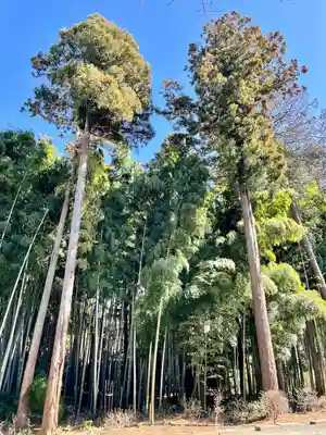 天翁院(栃木県)