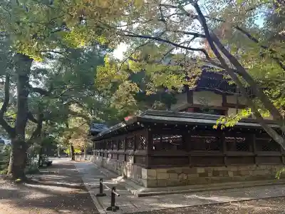 御霊神社（上御霊神社）(京都府)