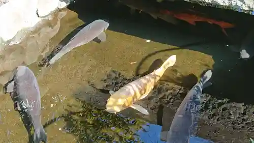 天祖諏訪神社(東京都)