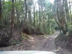 淡島神社の自然