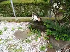 走水神社の動物