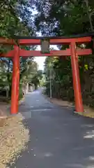 竹中稲荷神社（吉田神社末社）(京都府)