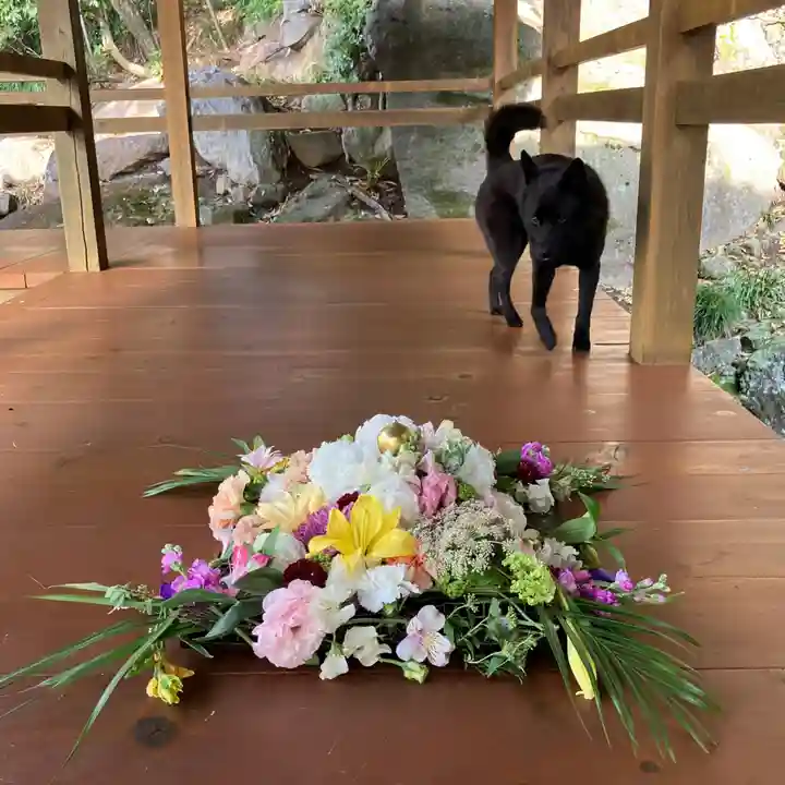 定林山 能成寺の動物