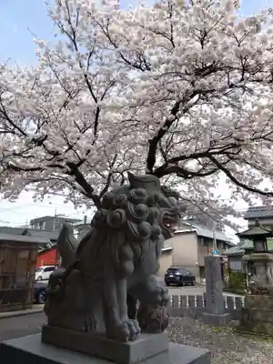 春日神社(福井県)