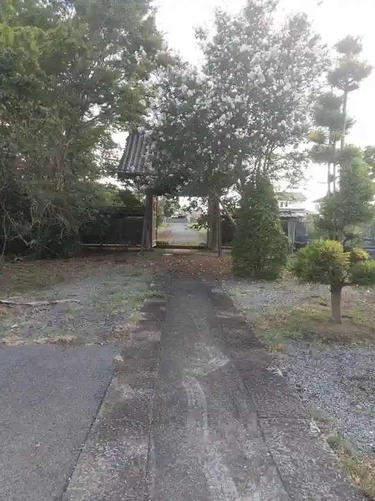 妙光寺(埼玉県)