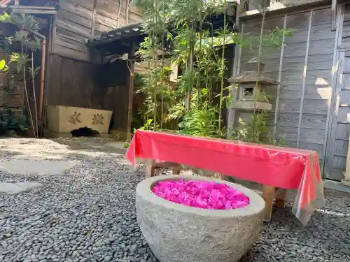 菅生神社の{uncategorized: "未分類", other: "その他", undefined: "問題あり", building: "その他建物", grave: "お墓", sacred_gate: "鳥居", guardian: "狛犬", statue: "像", buddha: "仏像", history: "歴史", nature: "自然", garden: "庭園", animal: "動物", pagoda: "塔", temizu: "手水舎", mountain_gate: "山門・神門", sanctuary: "本殿・本堂", subordinate: "末社・摂社", art: "芸術", scenery: "景色", jizo: "地蔵", ema: "絵馬", goshuin: "御朱印", omikuji: "おみくじ", items: "授与品その他", amulet: "お守り", goshuincho: "御朱印帳", eats: "食事", festival: "お祭り", votive_dance: "神楽", shichigosan: "七五三参", wedding: "結婚式", experience: "体験その他", initially: "初詣", around: "周辺", anti_infection: "感染症対策"}