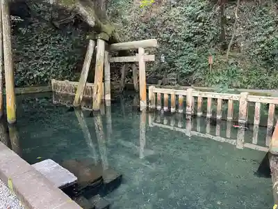 鹿島神宮(茨城県)