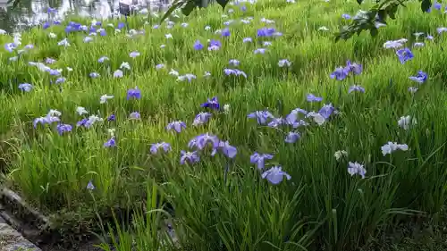 長岡天満宮(京都府)