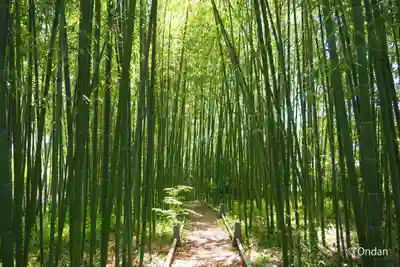 鹿王院(京都府)