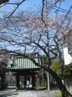 妙隆寺の山門・神門