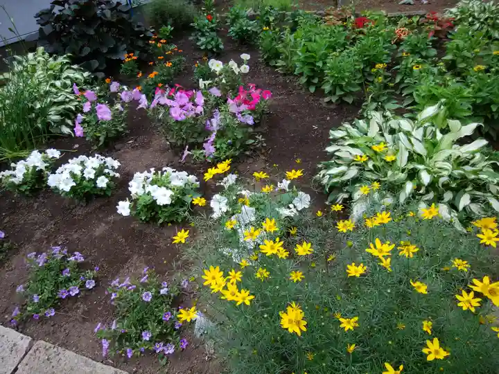北広島市総鎮守 廣島神社の自然