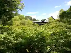 東福禅寺（東福寺）の自然