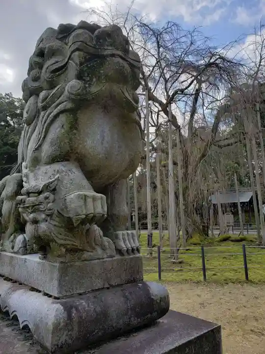 足羽神社の狛犬