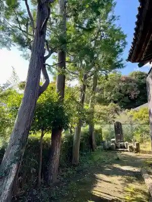 八坂大神(神奈川県)