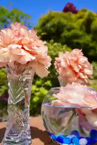 伊達神社(北海道)(2022年06月17日(金) 18時47分03秒投稿)