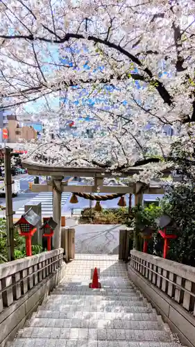 十番稲荷神社の鳥居