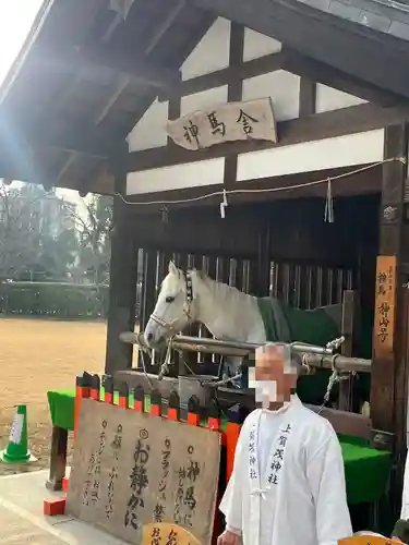賀茂別雷神社（上賀茂神社）(京都府)