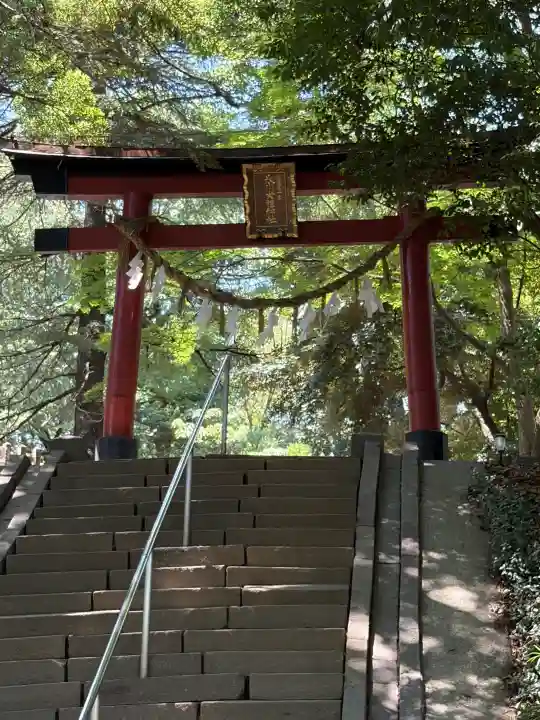 氷川女體神社(埼玉県)