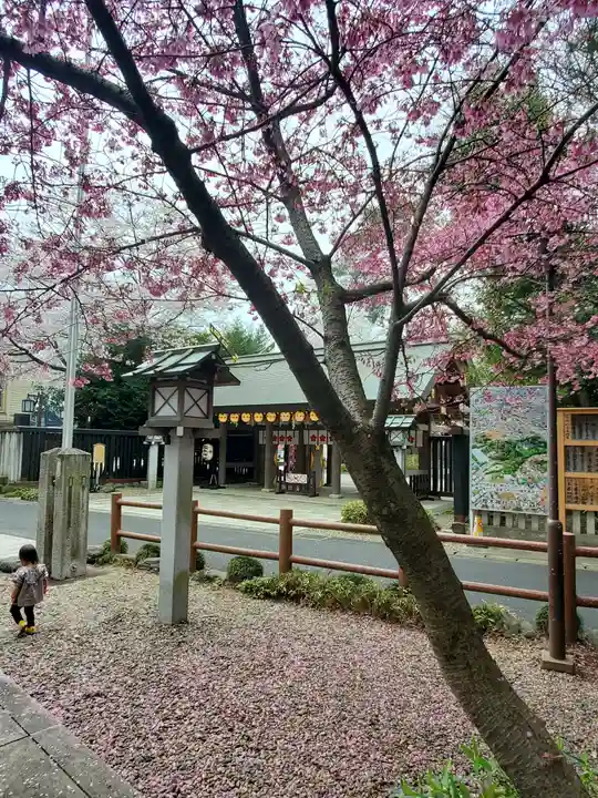 櫻木神社(千葉県)