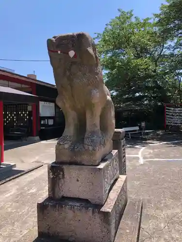 徳島眉山天神社の狛犬