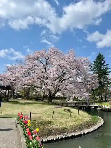 伊佐須美神社(福島県)