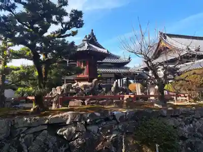 興聖寺（興聖寶林禅寺）の末社・摂社