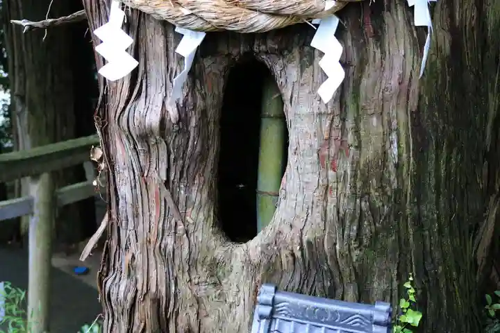 阿久津「田村神社」(郡山市阿久津町)旧社名:伊豆箱根三嶋三社の自然