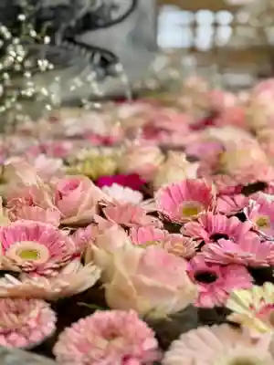 札幌諏訪神社の手水舎