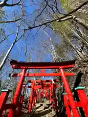 鼻顔稲荷神社(長野県)