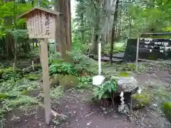 本宮神社（日光二荒山神社別宮）の歴史